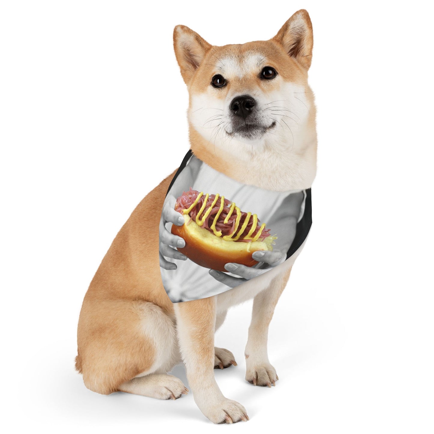 "It's a Hot Dog" Pet Bandana Collar